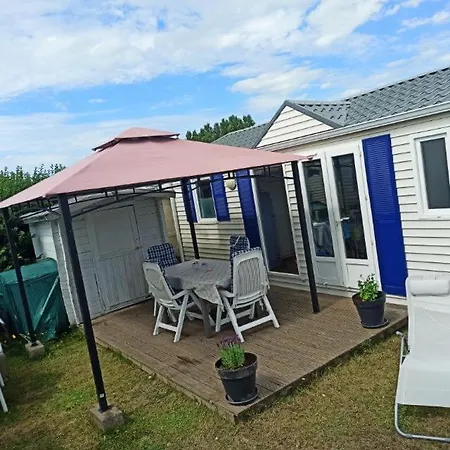 Daire Sonnenschein *